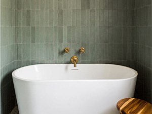 Bedrosians - Zenia in Umbra 2.5x9